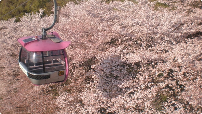東京讀賣樂園 FB