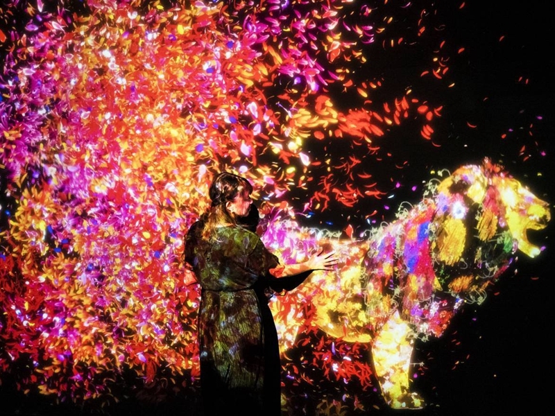 展覽內共有30個「身體沉浸式藝術作品」～