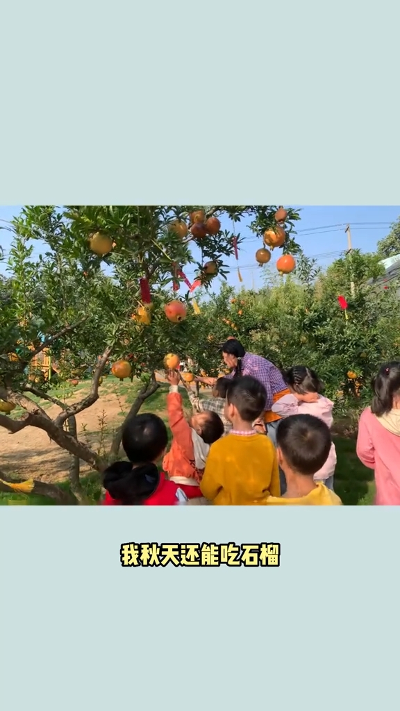 鈔級寶爸老李 抖音