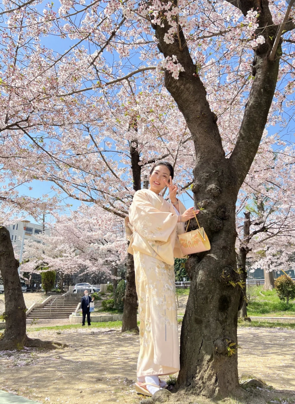 每年櫻花季節，吸引很多本地人及遊客特別穿韓服賞櫻！