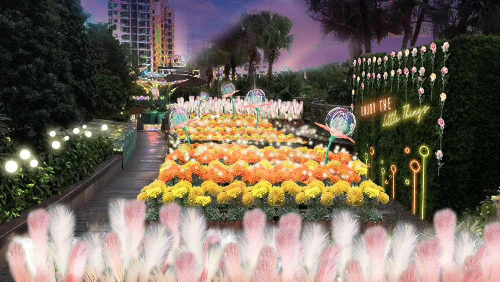 全新橘黃萬壽菊波波花田,打卡一流!