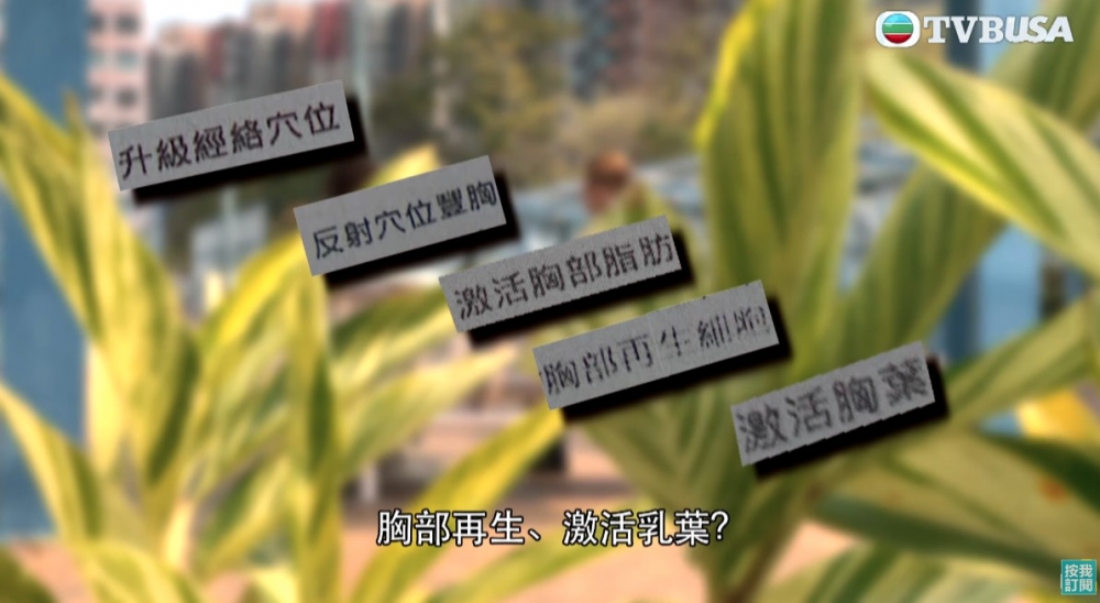 TVB USA Official YouTube