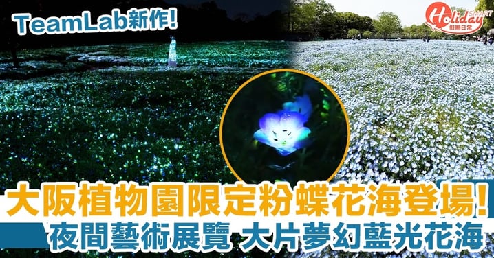 大阪2023｜teamLab大阪植物園限定粉蝶花海！即日起至7／5！