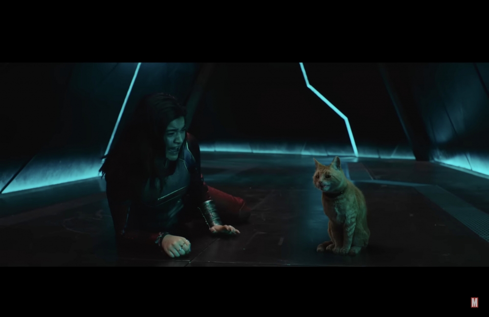 可愛又恐怖的Goose再度回歸！