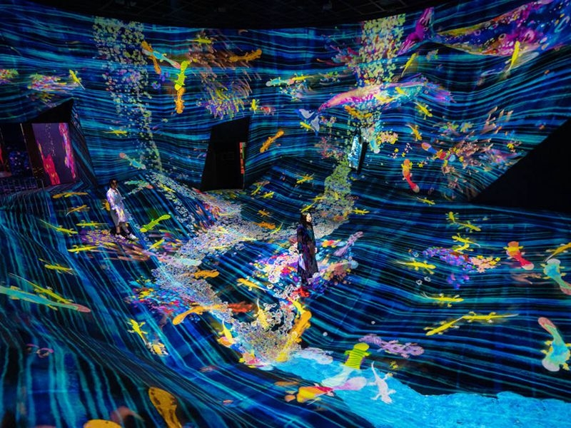 TapNow消費券優惠：澳門teamLab-超自然空間門票