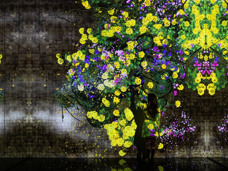 是次展出的藝術作品主題涵蓋自然、宇宙及光影等。