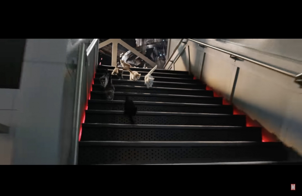 今次仲有「Goose軍團」登場？！