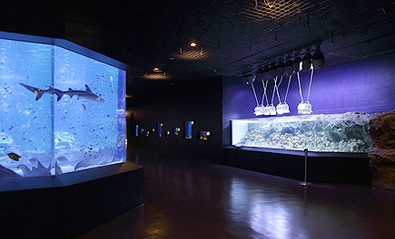 Maxell Aqua Park品川 官網