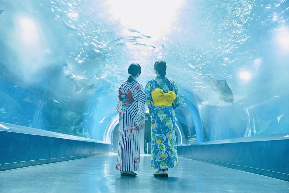 Maxell Aqua Park品川 FB