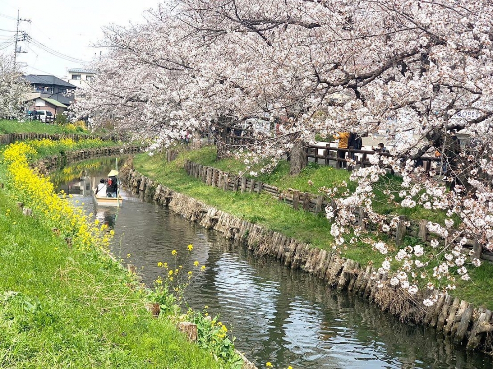 Visit Kawagoe by 川越まつり協賛会 FB