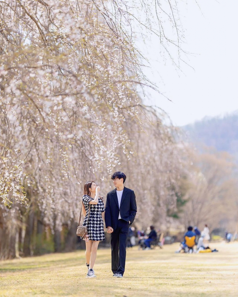 南怡島風景怡人，每處都係打卡點。