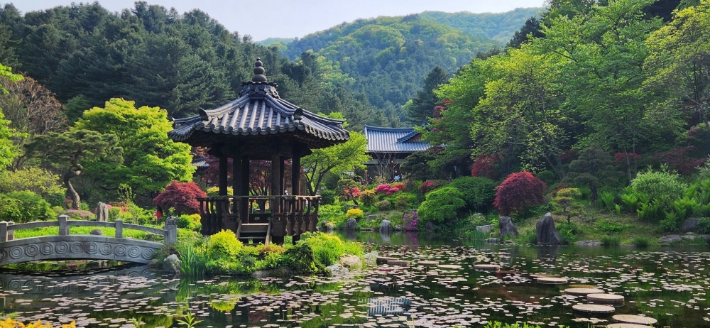 每一處都非常適合打卡！