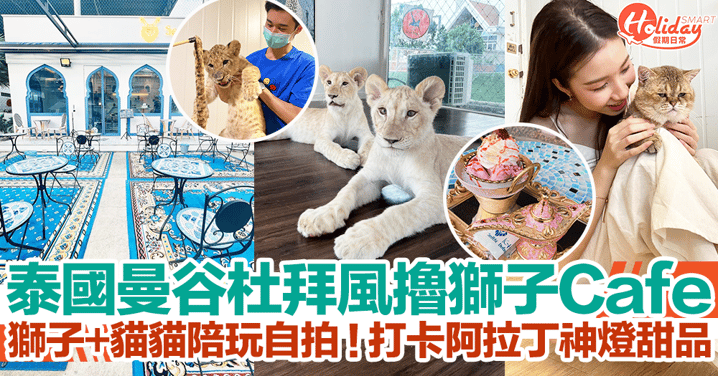 【曼谷Cafe2023】曼谷杜拜風格擼獅子Cafe！獅子+貓貓陪玩自拍！打卡阿拉丁神燈甜品！
