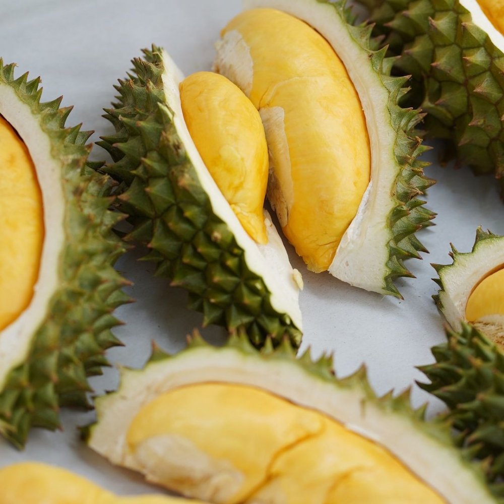 又到咗榴槤嘅當造季節喇！