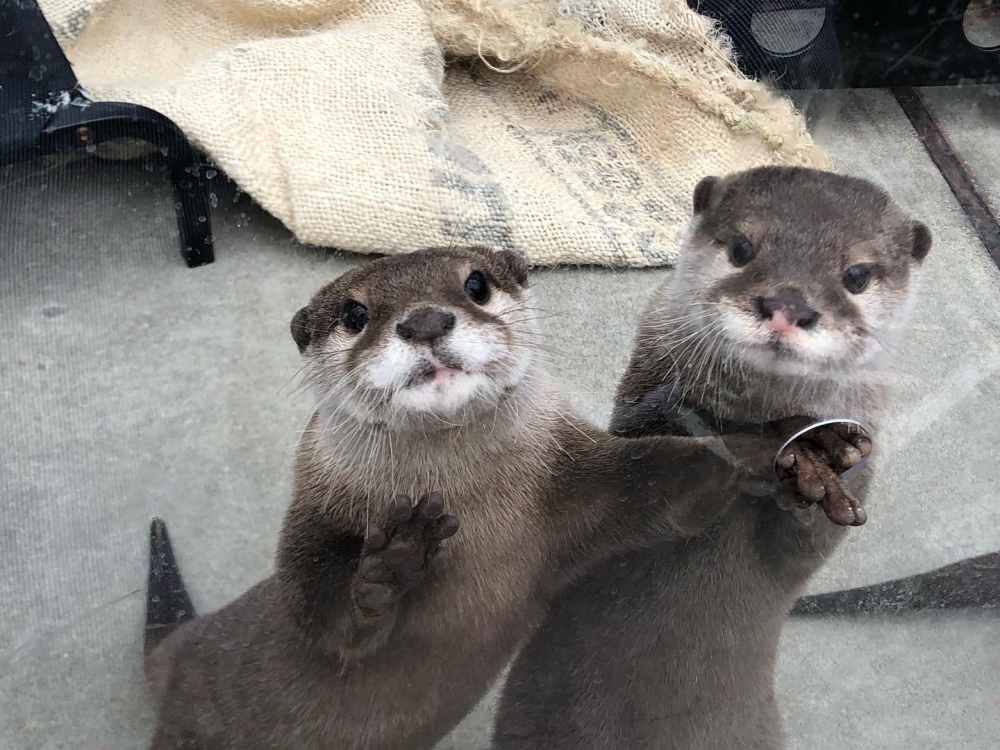 HARRY HARAJUKU terrace FB