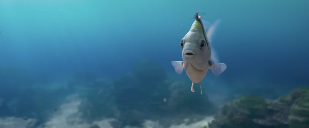 肥嘟嘟又可愛的小比目魚「小胖」!