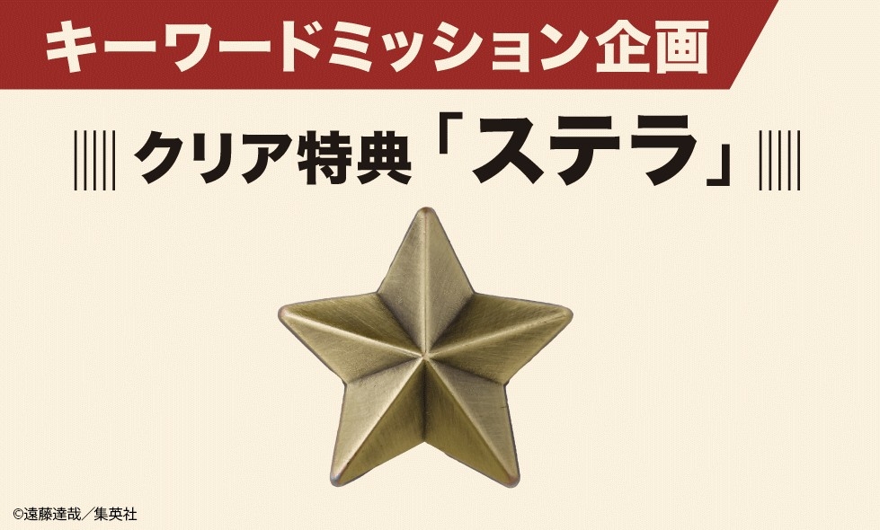星星為扣針款式,實際大小約25mm左右
