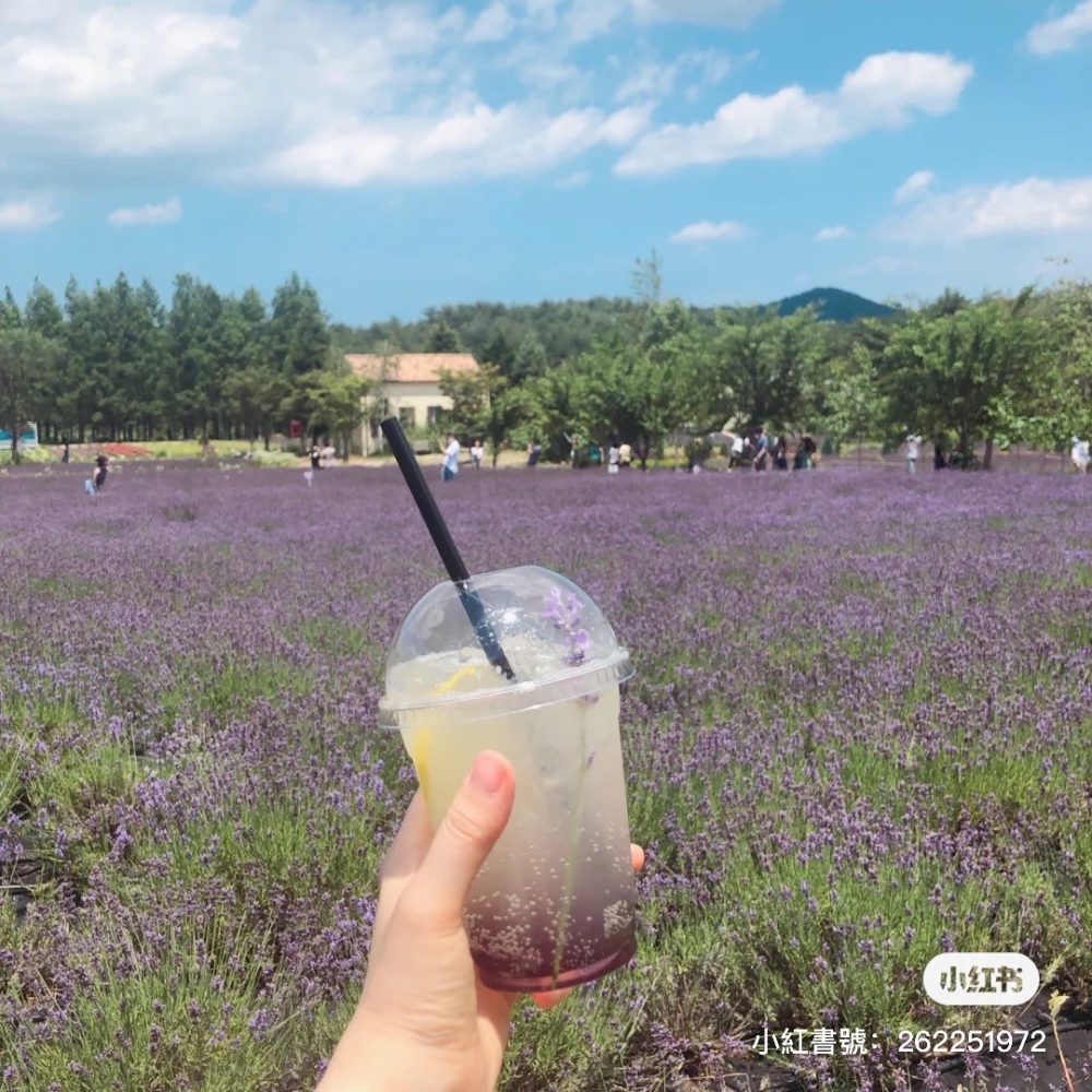 口味相當特別的薰衣草檸檬水～