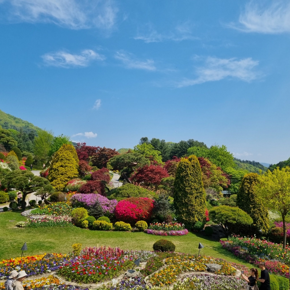 呢個植物園一共有4500多種植物。