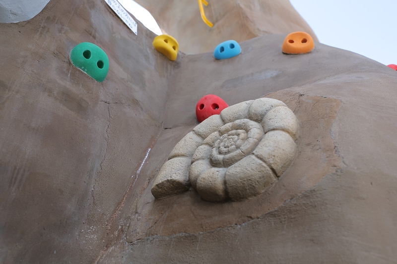 Pokémon化石？！