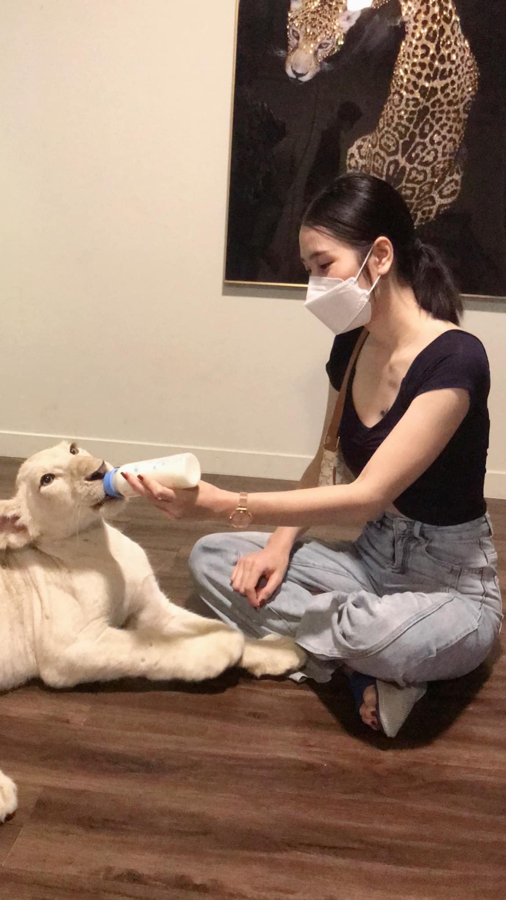 Cafe提供餵奶獅子體驗～