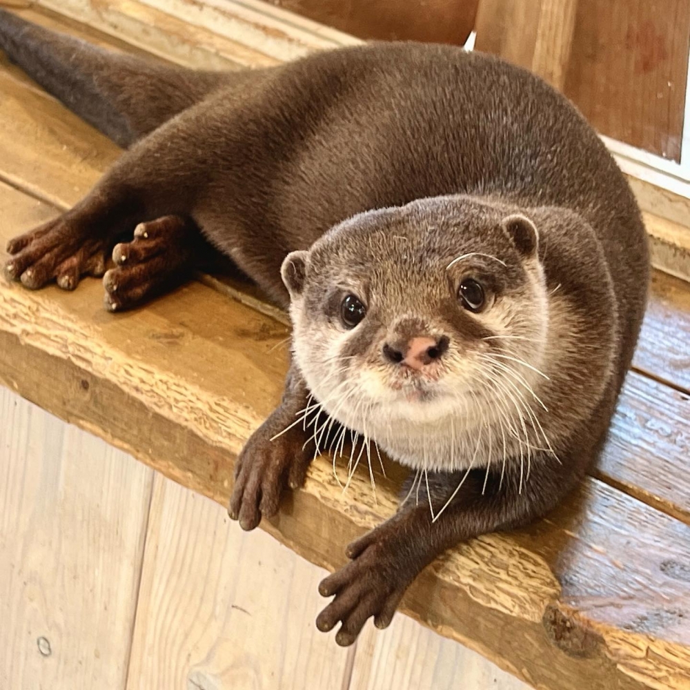 HARRY HARAJUKU terrace FB