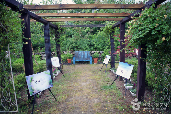 HANI農場每年夏季都會舉辦「高城薰衣草節」～