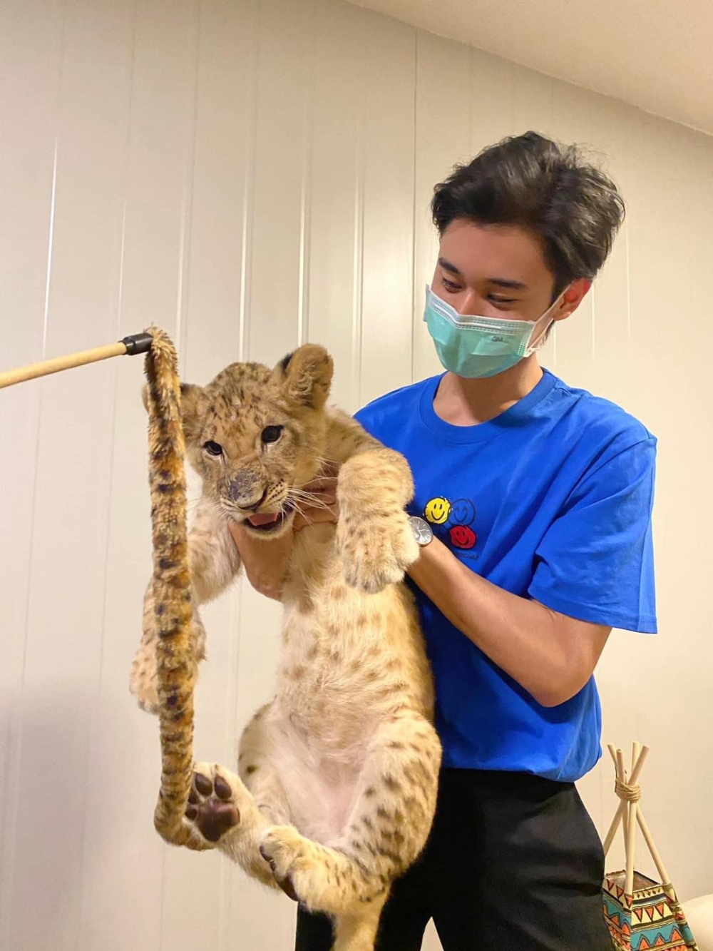 只要消費指定金額，即可同獅子玩樂啦！