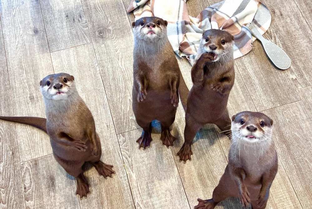 HARRY HARAJUKU terrace FB