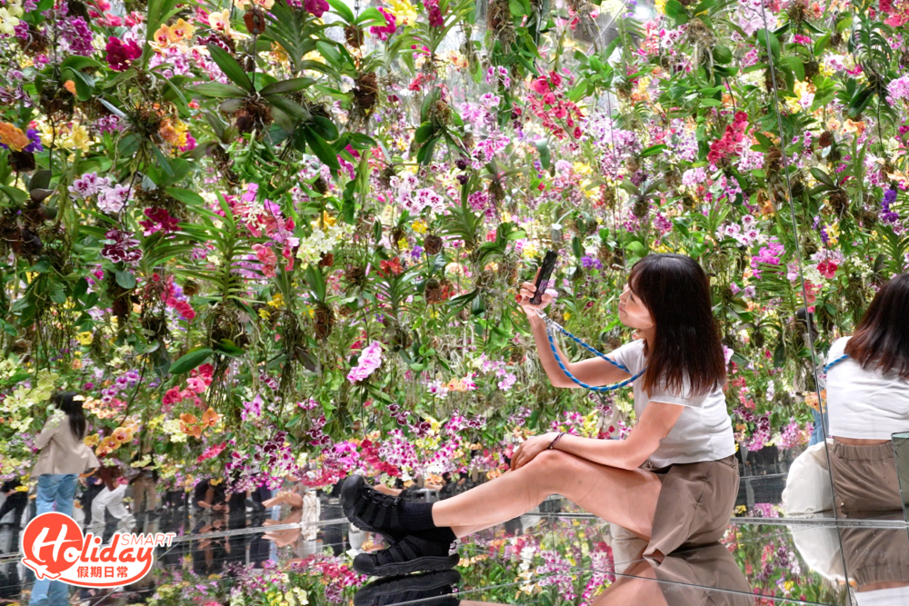 漂浮的花園花朵與我同根同源，花園與我合為一體