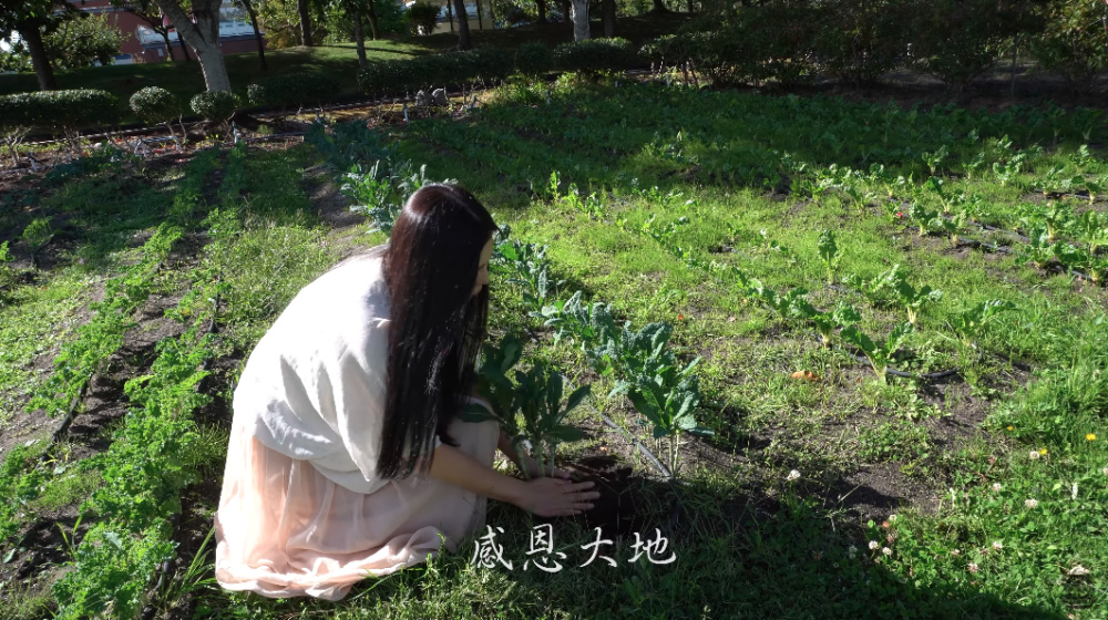 加拿大靈巖山寺 YouTube