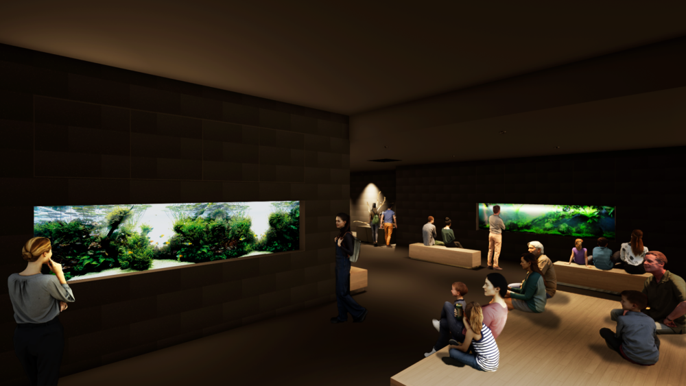 「NATURE AQUARIUM」以「侘寂」及「禪的精神」為主題,可以觀賞到在水生植物中的小生物~