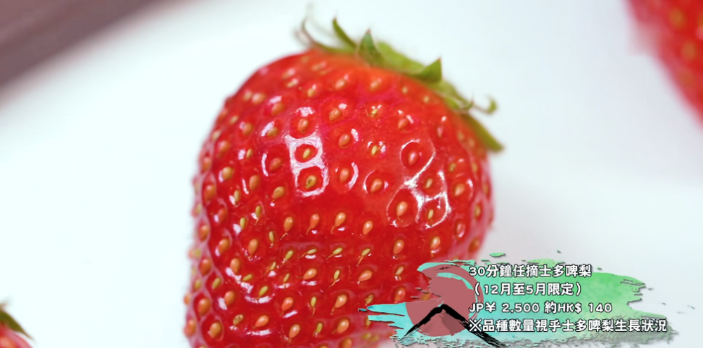 和歌山出品嘅高級士多啤梨「毬姬」