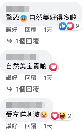 網友指「自然美好得多」