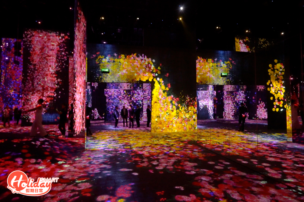 花與人的窪谷：迷失、沉浸與重生