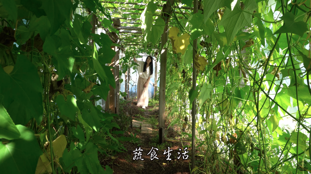 加拿大靈巖山寺 YouTube