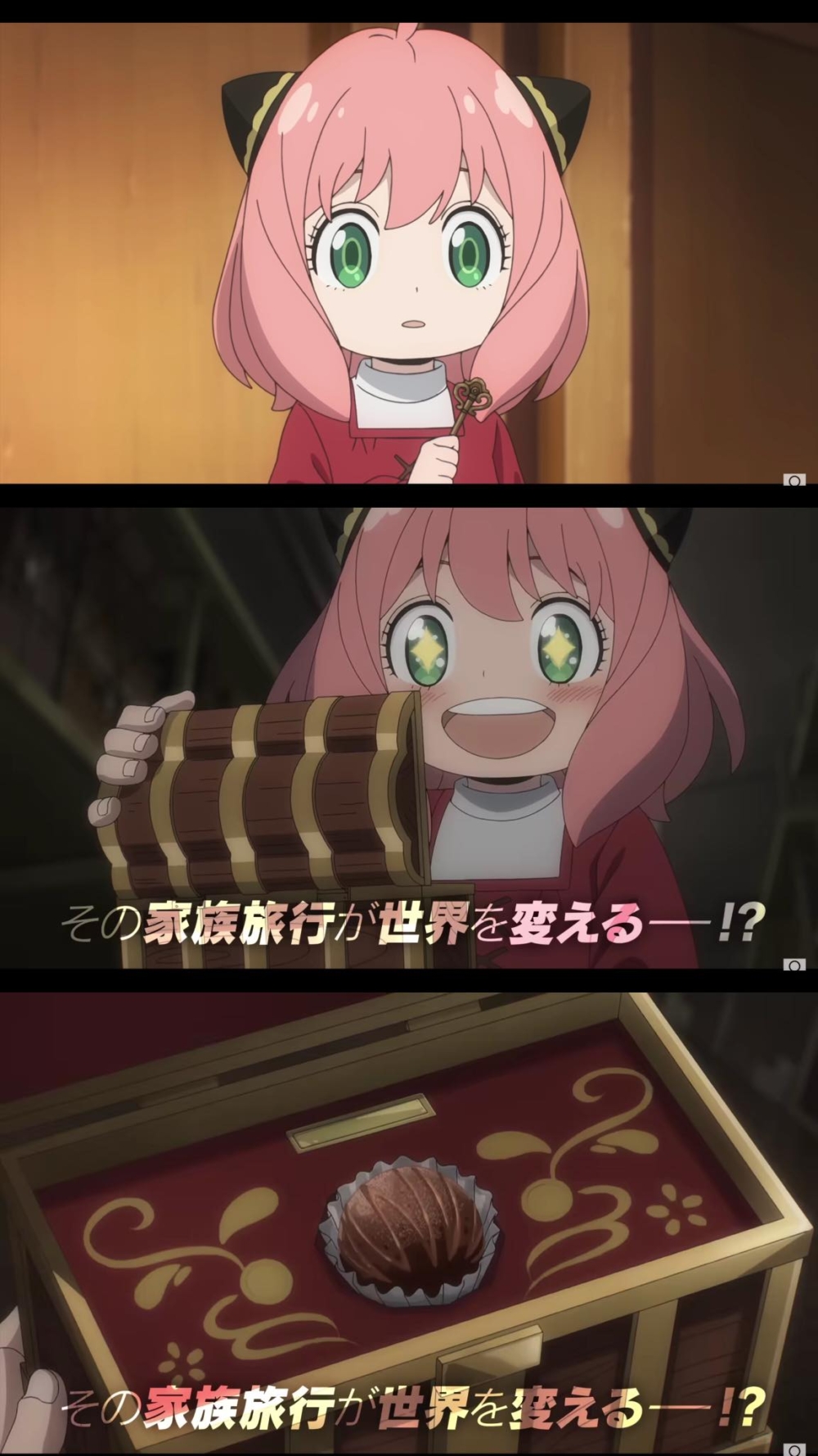 安妮亞因誤食了神秘盒子的朱古力而陷入危機?!