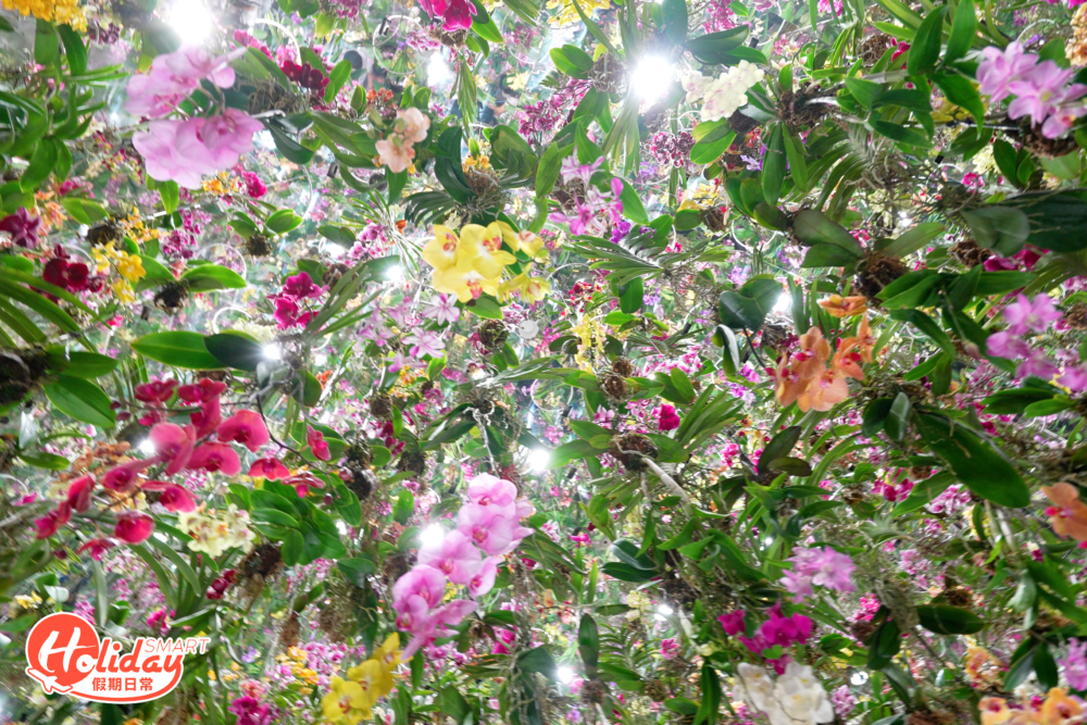 門teamLab成為澳門必去的人氣打卡熱點，6月1日起將會帶來三組全新藝術作品空間。