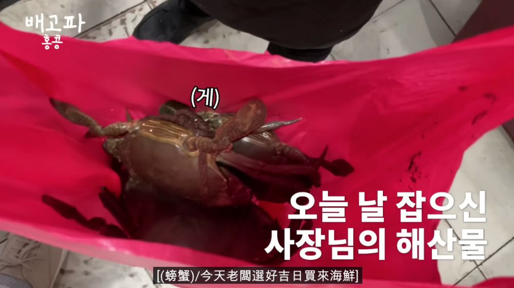 雖然白種元表示已經好飽,但見到餐廳又出去買咗海鮮