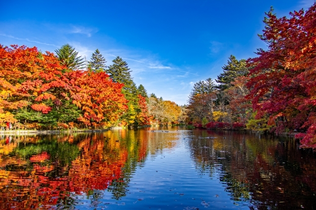 軽井沢観光協会 FB