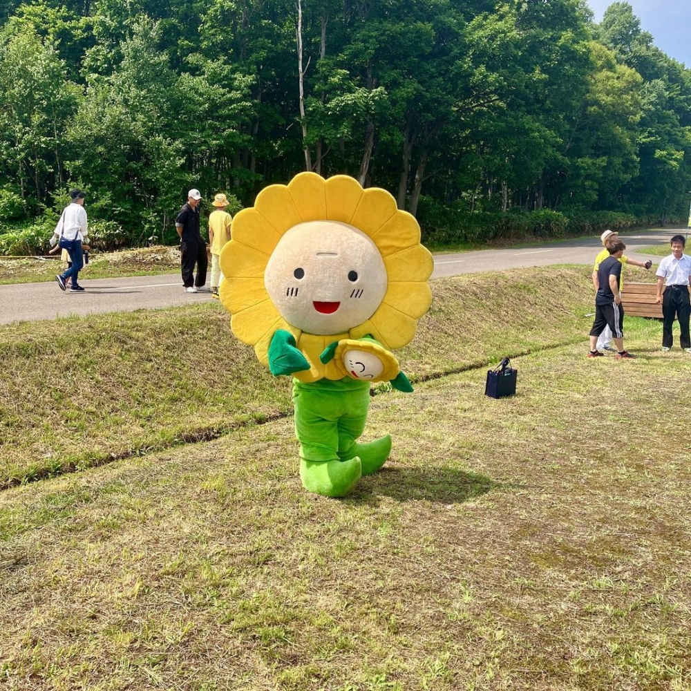 超萌的向日葵公仔!