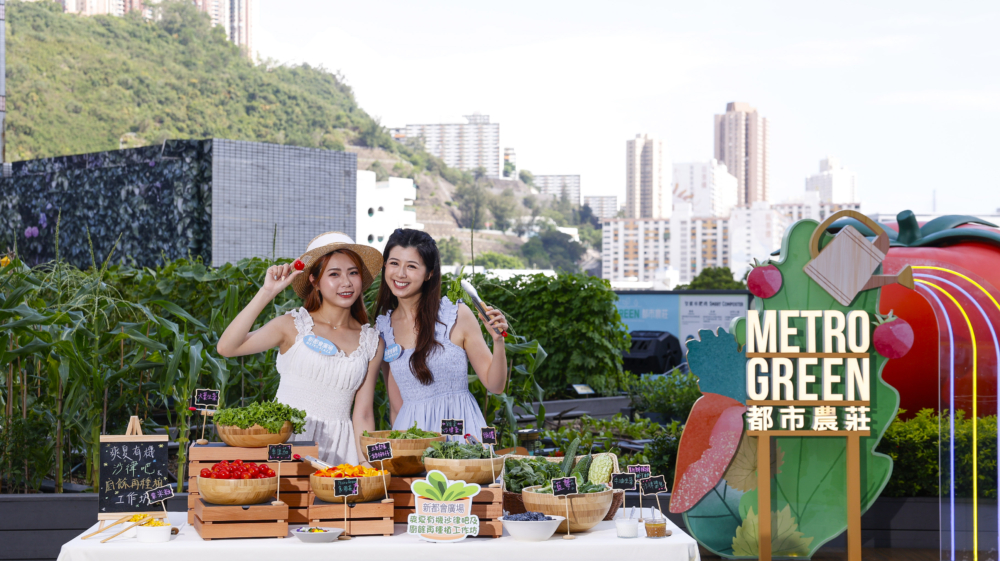 爽夏有機沙律吧及廚餘再種植工作坊。