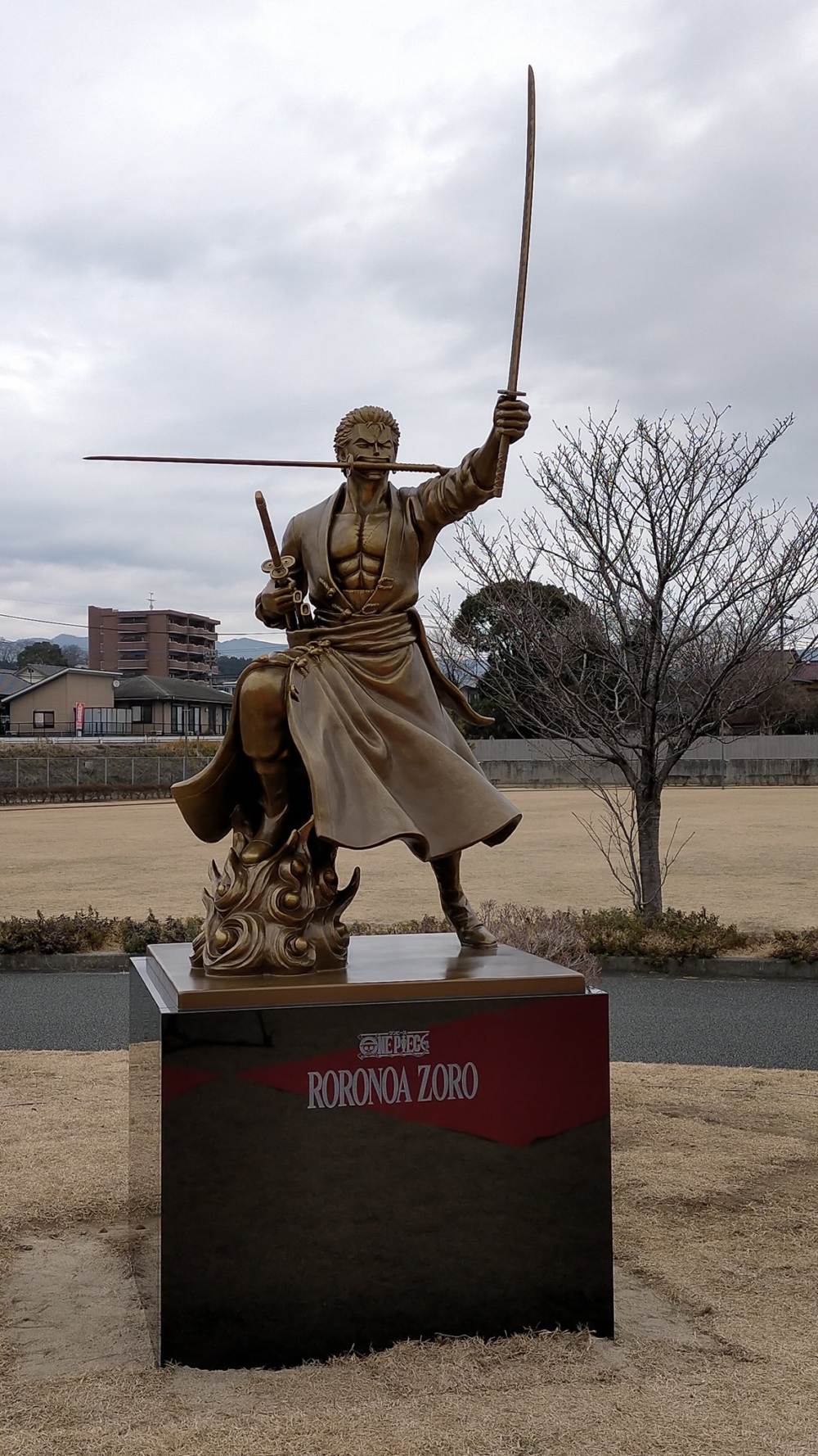 出沒大津町大津中央公園的「索隆」!
