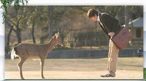 《鹿男與奈良》