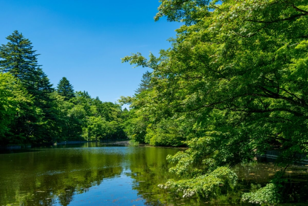 軽井沢観光協会 FB