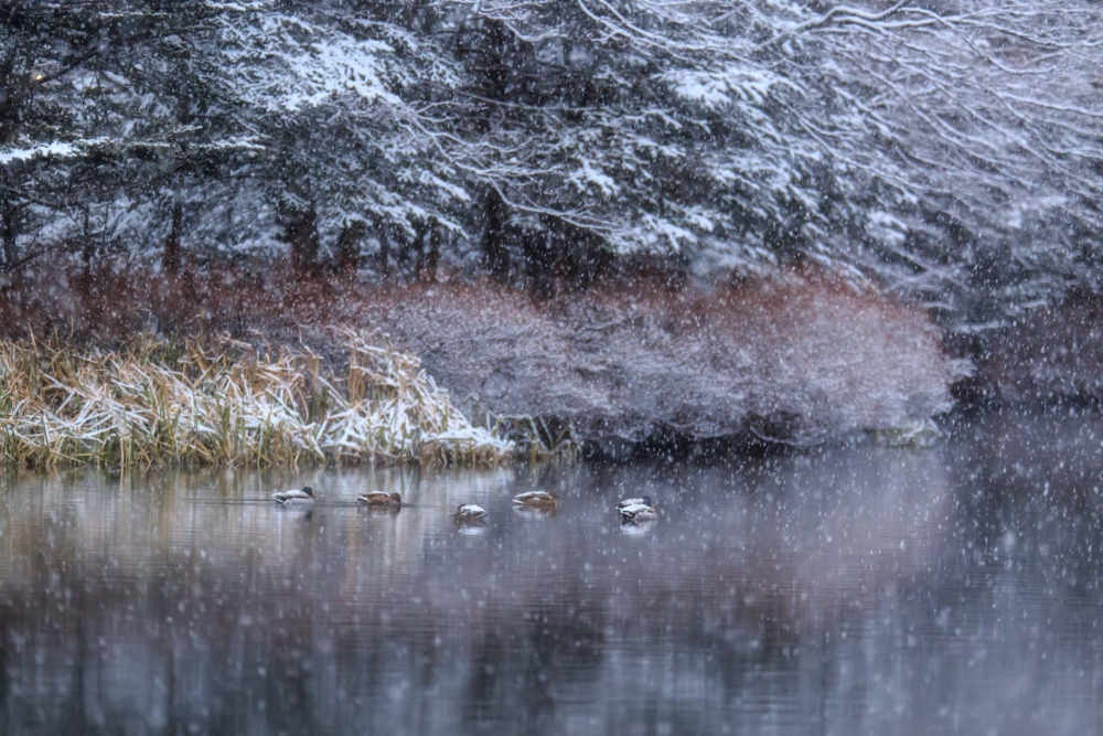 軽井沢観光協会 FB