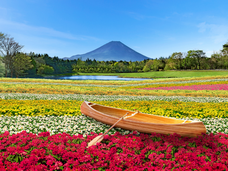 本栖湖渡假村 官網