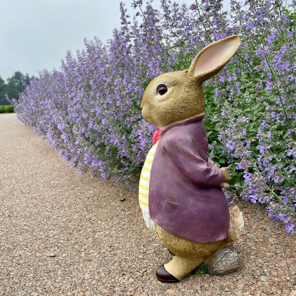 本栖湖渡假村 官網