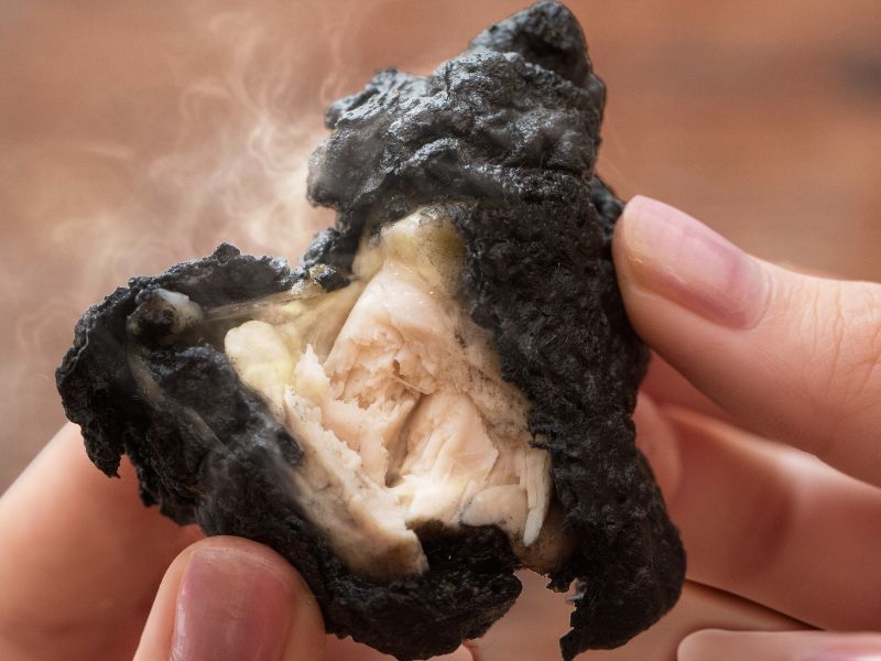 本栖湖渡假村 官網