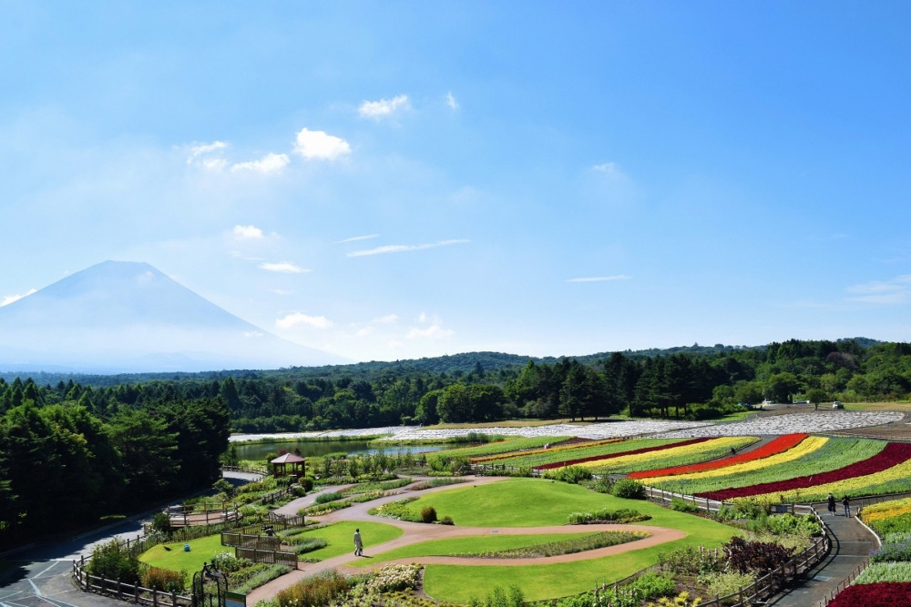本栖湖渡假村 官網